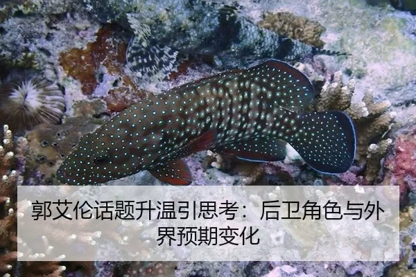 郭艾伦话题升温引思考：后卫角色与外界预期变化